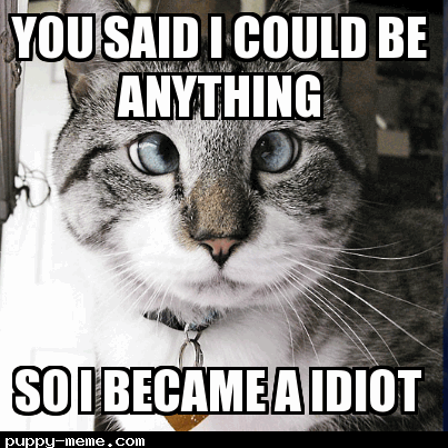 idiot cat