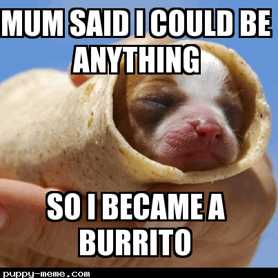 Burrito dog