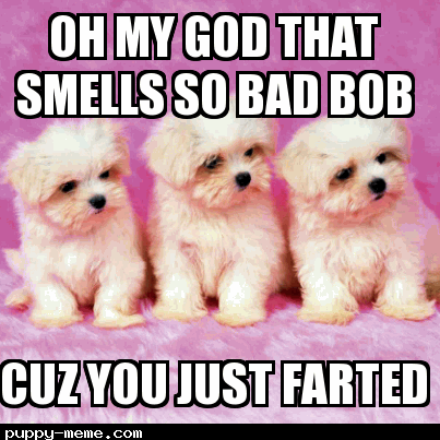 oh my god that smells so bad