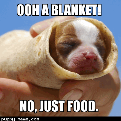 puppy burrito