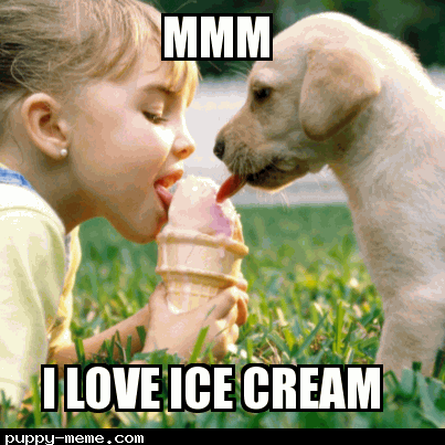 I scream for ice cream