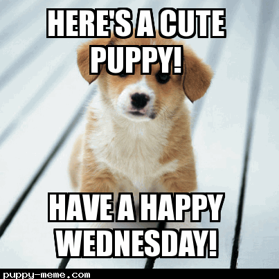 Have a great Wednesday.