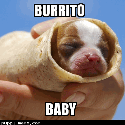 burrito baby