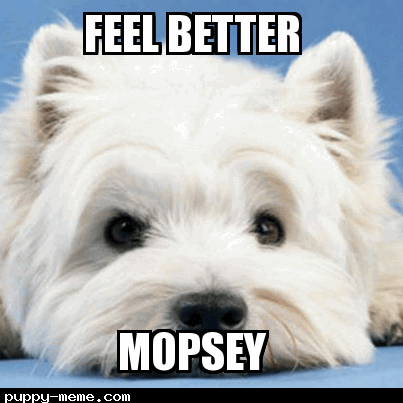 Mopsey