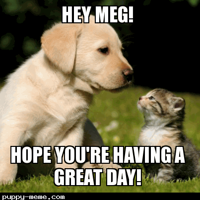 Hey Meg