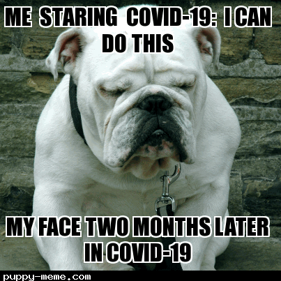 Me in Covid-19 be like.