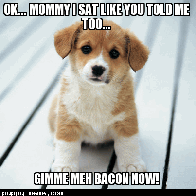 Gimme my bacon!