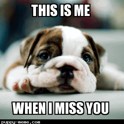 Sad Puppy Miss You