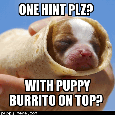 Puppy burrito