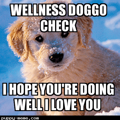 Wellness Doggo