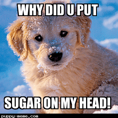 Is this sugar?