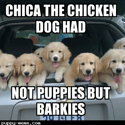 Chica the chicken dog