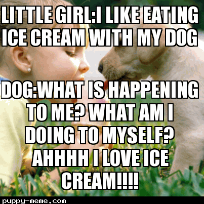 Dog and person eating Ice cream meme