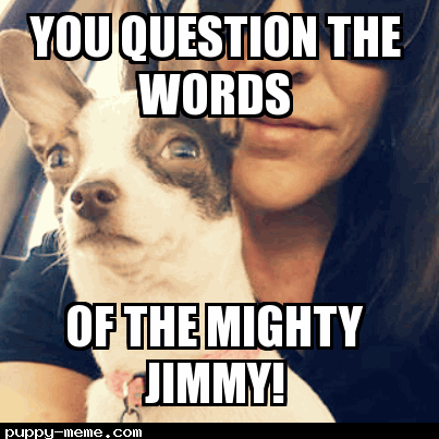 Jimmy the dog