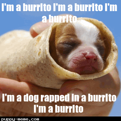I'm a burrito