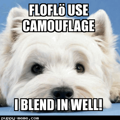 You befriended floflö