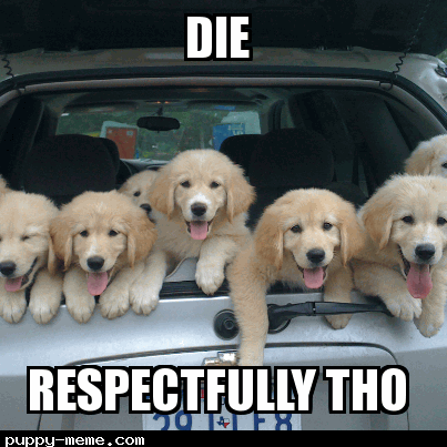 Respectful Puppies
