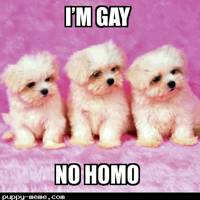 Anti homo dogs