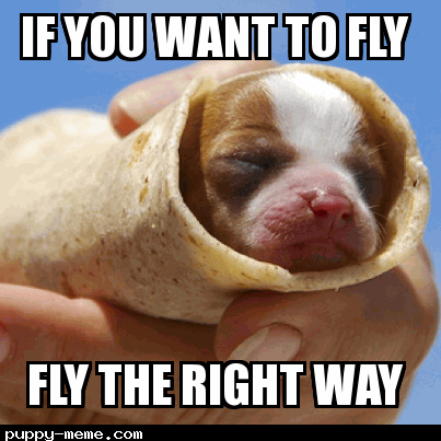 If you want to fly fly a good way