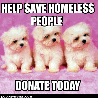 donate today