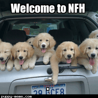 Welcome to NFH